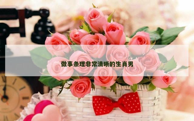 做事条理非常清晰的生肖男