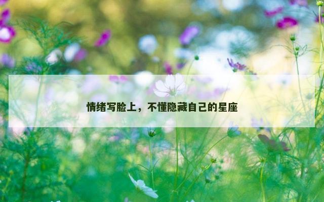 情绪写脸上，不懂隐藏自己的星座