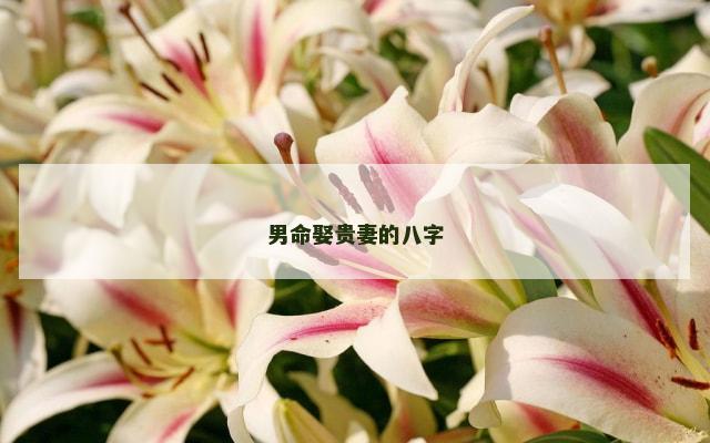 男命娶贵妻的八字