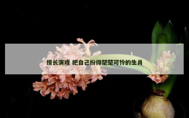 擅长演戏 把自己扮得楚楚可怜的生肖