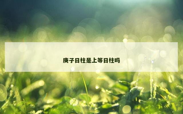 庚子日柱是上等日柱吗
