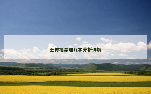 王传福命理八字分析详解