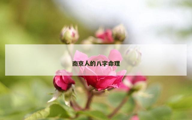 南京人的八字命理