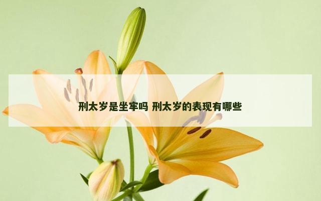 刑太岁是坐牢吗 刑太岁的表现有哪些