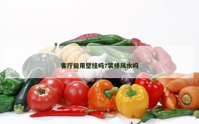 客厅能用壁挂吗?装修风水吗