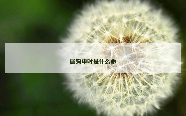 属狗申时是什么命