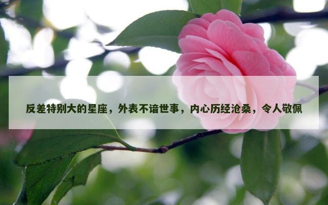 反差特别大的星座，外表不谙世事，内心历经沧桑，令人敬佩
