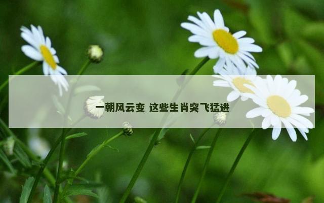 一朝风云变 这些生肖突飞猛进