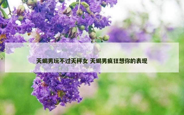 天蝎男玩不过天秤女 天蝎男疯狂想你的表现