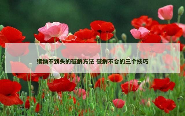 猪猴不到头的破解方法 破解不合的三个技巧