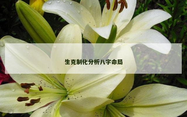 生克制化分析八字命局