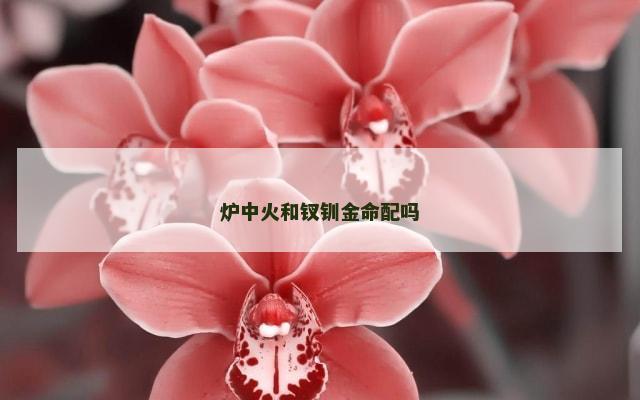 炉中火和钗钏金命配吗