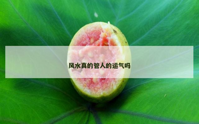 风水真的管人的运气吗