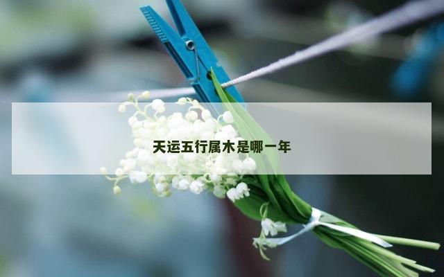 天运五行属木是哪一年