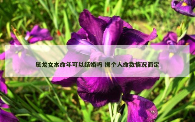 属龙女本命年可以结婚吗 据个人命数情况而定