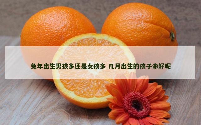 兔年出生男孩多还是女孩多 几月出生的孩子命好呢