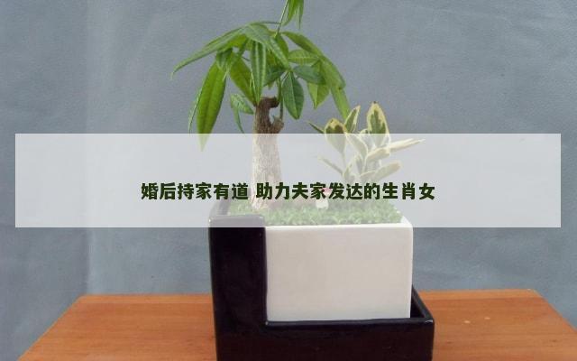 婚后持家有道 助力夫家发达的生肖女
