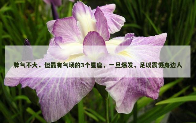 脾气不大，但最有气场的3个星座，一旦爆发，足以震慑身边人