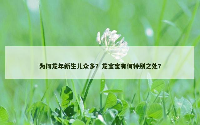 为何龙年新生儿众多？龙宝宝有何特别之处？
