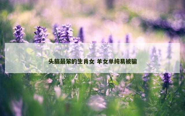 头脑最笨的生肖女 羊女单纯易被骗