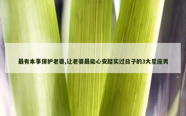 最有本事保护老婆,让老婆最能心安踏实过日子的3大星座男