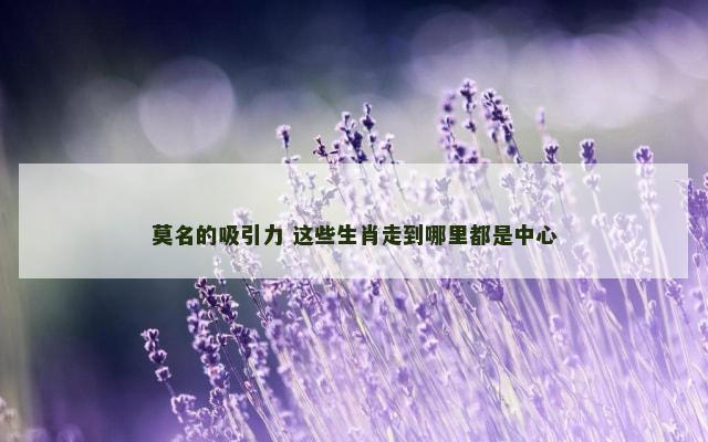 莫名的吸引力 这些生肖走到哪里都是中心