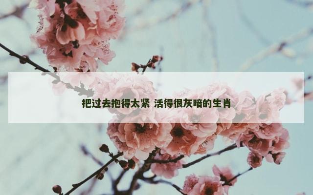 把过去抱得太紧 活得很灰暗的生肖