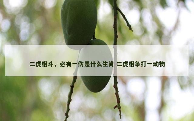 二虎相斗，必有一伤是什么生肖 二虎相争打一动物