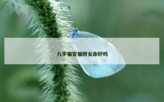 八字偏官偏财女命好吗