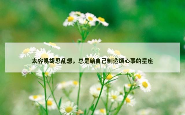 太容易胡思乱想，总是给自己制造烦心事的星座