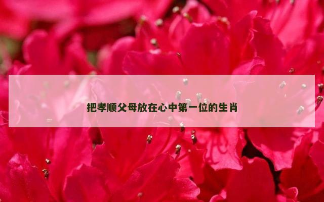 把孝顺父母放在心中第一位的生肖