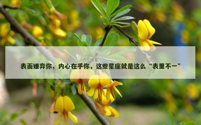 表面嫌弃你，内心在乎你，这些星座就是这么“表里不一”