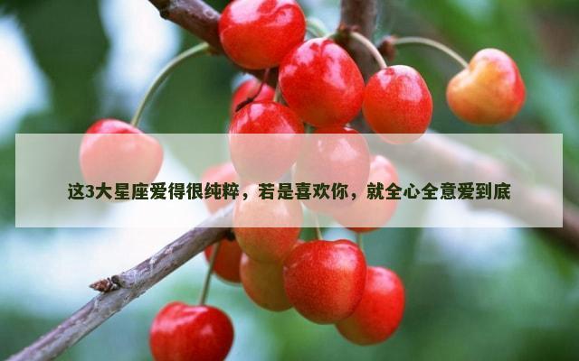 这3大星座爱得很纯粹，若是喜欢你，就全心全意爱到底