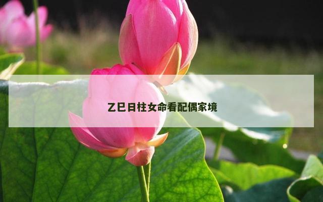 乙巳日柱女命看配偶家境