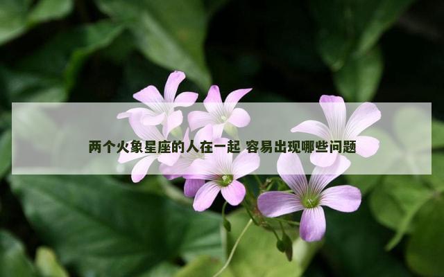 两个火象星座的人在一起 容易出现哪些问题