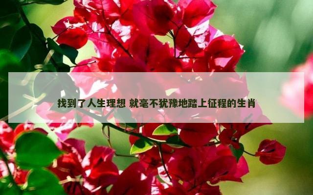 找到了人生理想 就毫不犹豫地踏上征程的生肖