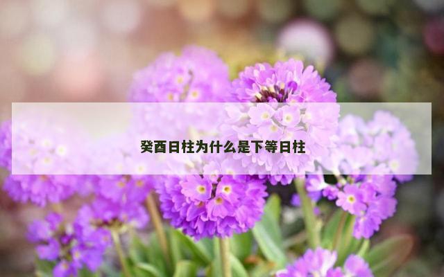 癸酉日柱为什么是下等日柱