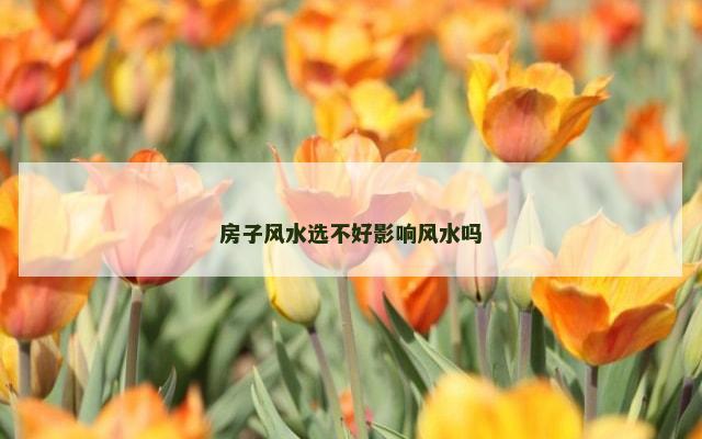 房子风水选不好影响风水吗