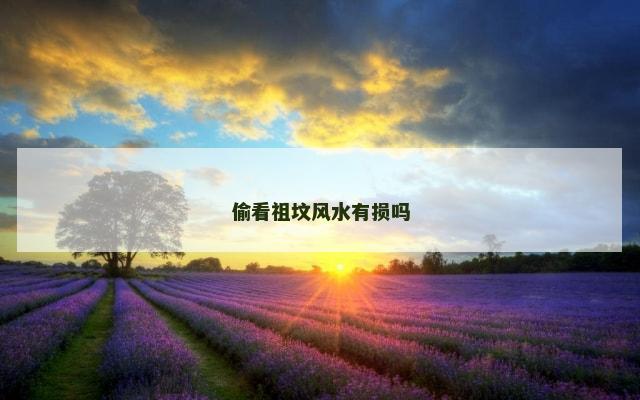 偷看祖坟风水有损吗