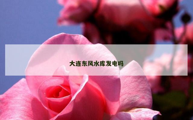 大连东风水库发电吗
