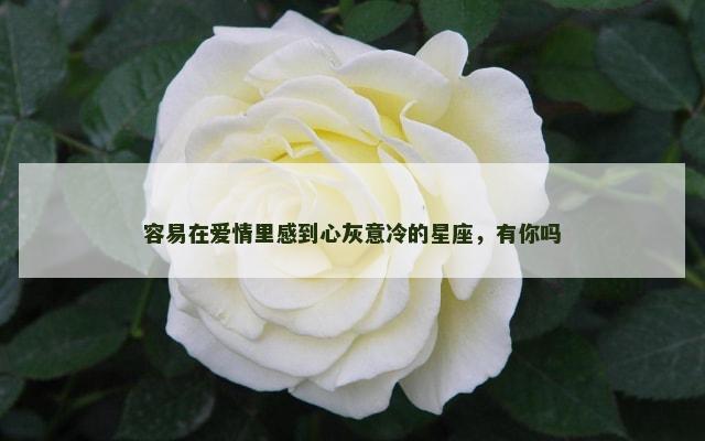 容易在爱情里感到心灰意冷的星座，有你吗