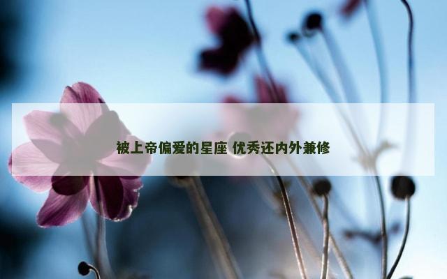 被上帝偏爱的星座 优秀还内外兼修