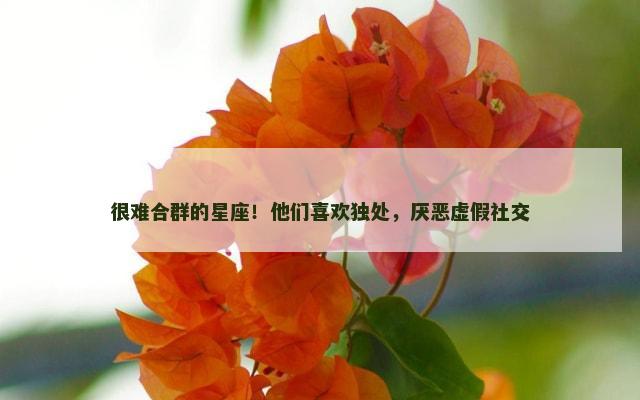 很难合群的星座！他们喜欢独处，厌恶虚假社交