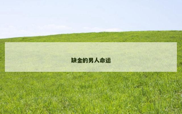 缺金的男人命运
