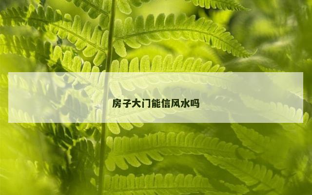 房子大门能信风水吗