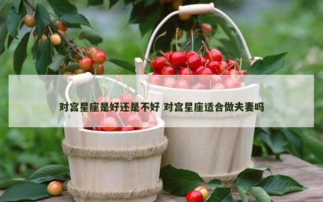 对宫星座是好还是不好 对宫星座适合做夫妻吗