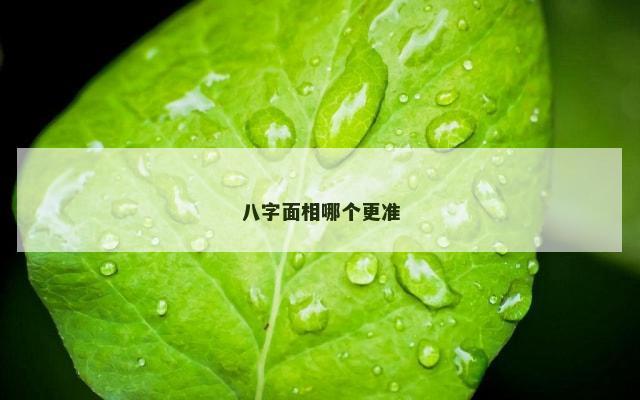 八字面相哪个更准