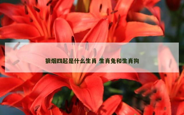 狼烟四起是什么生肖 生肖兔和生肖狗