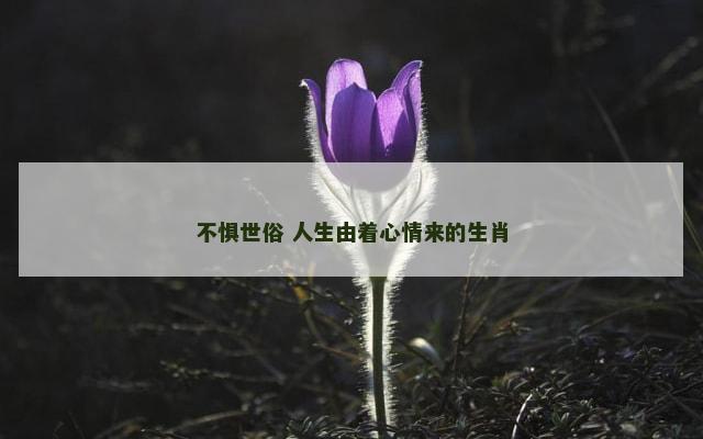 不惧世俗 人生由着心情来的生肖