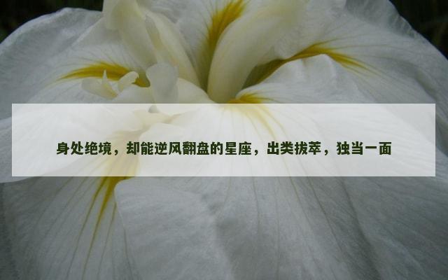 身处绝境，却能逆风翻盘的星座，出类拔萃，独当一面